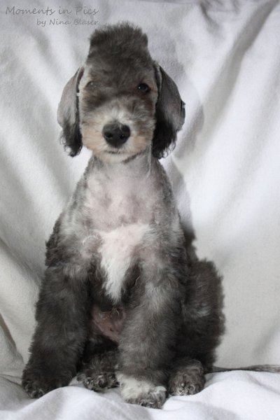 Antares 2009-08-01 & 02 (20).JPG